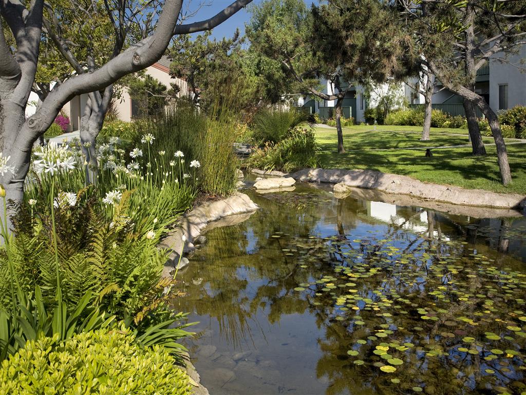 Apartments Near UCSB Pacific Oaks Apts Photo Gallery