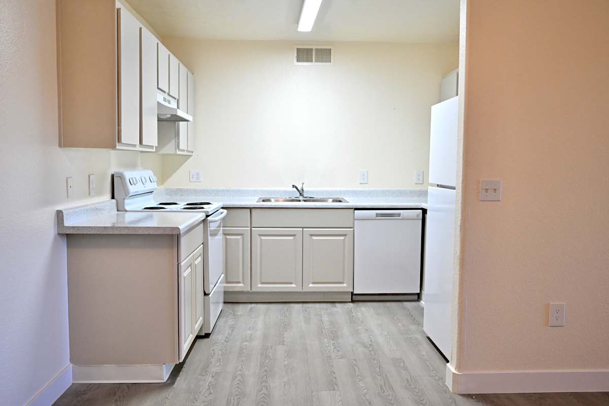 Apartment kitchen — representative home at Vineyard Estates.