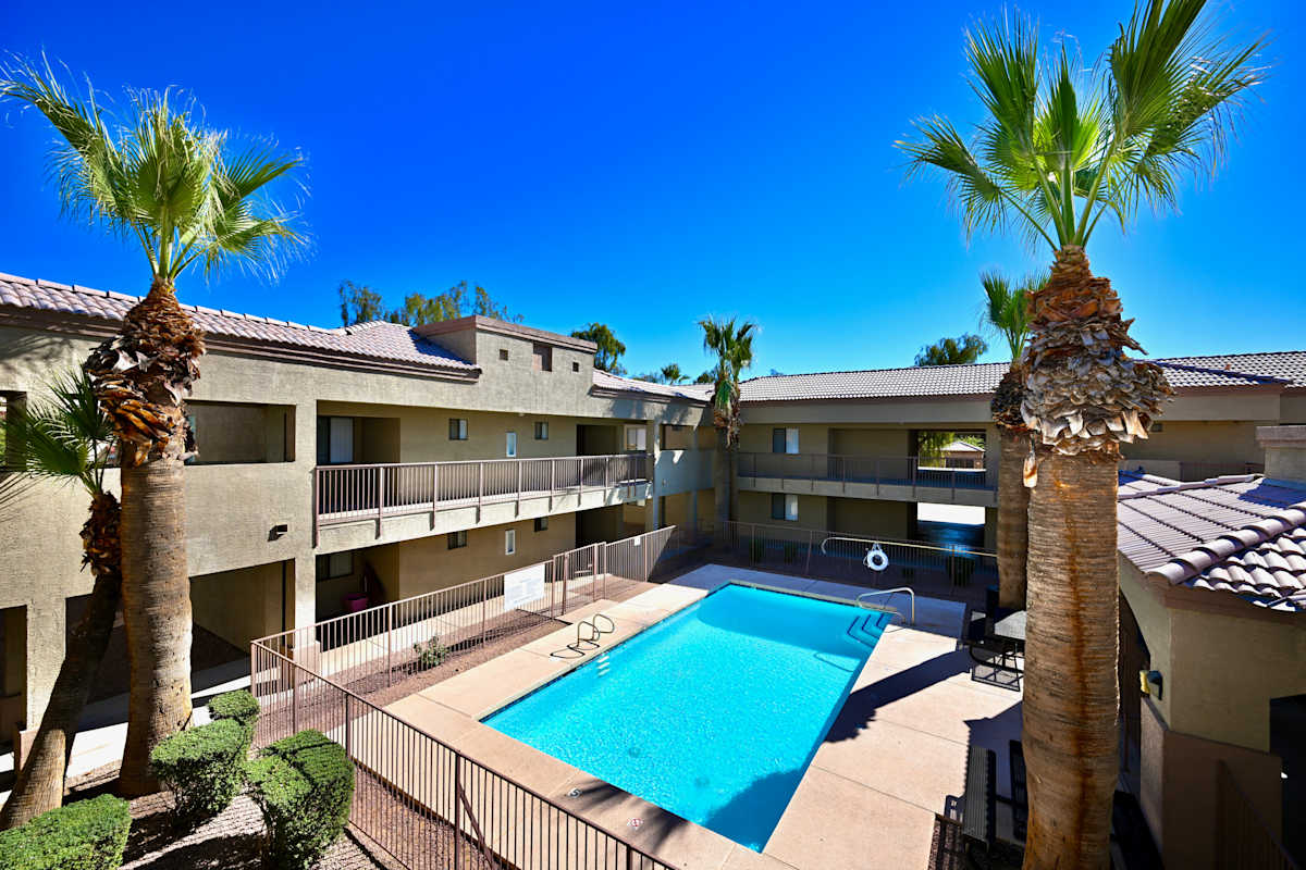 Pool and poolside area at Paradise Palms I.