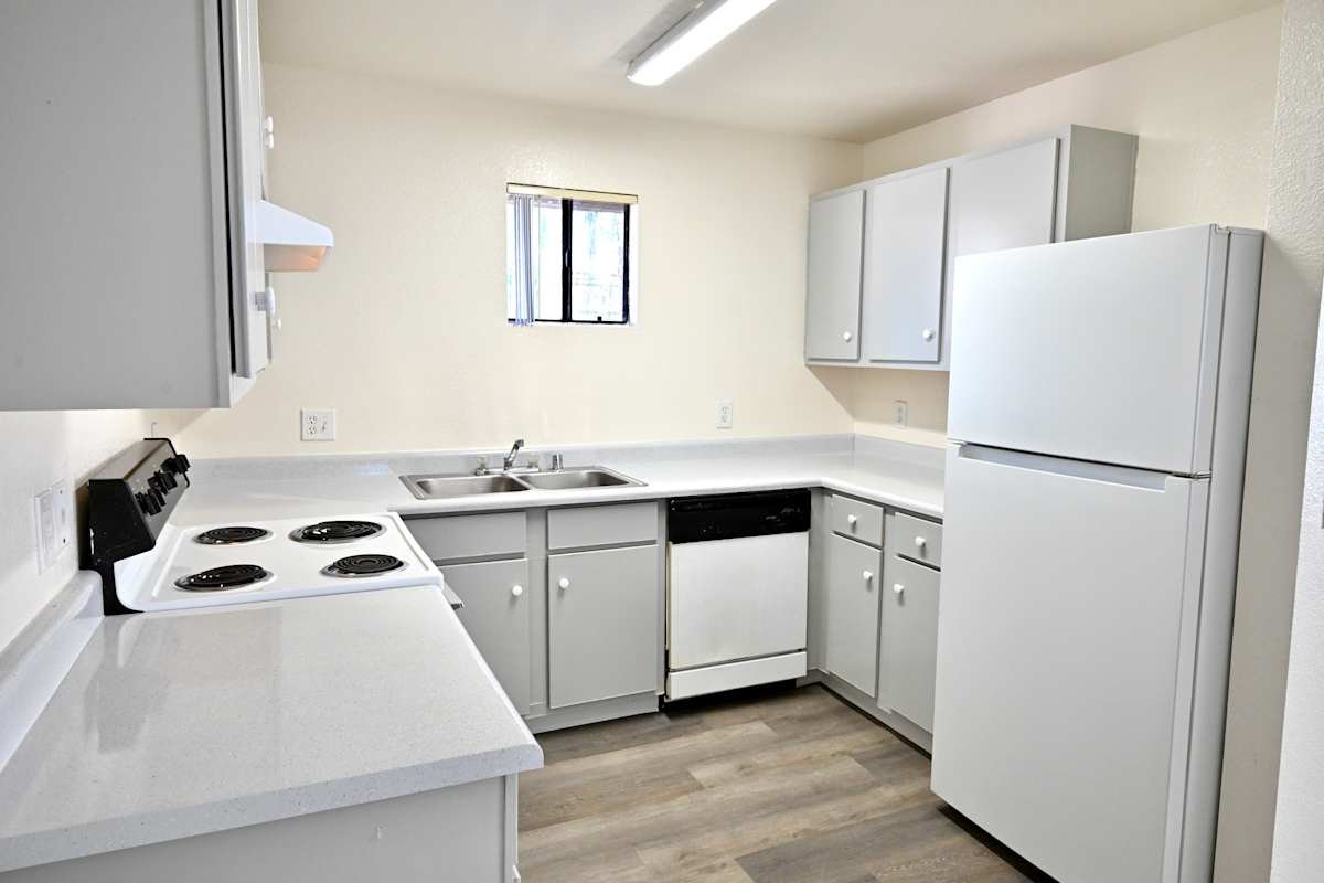 Apartment kitchen — representative home at Paradise Palms I.