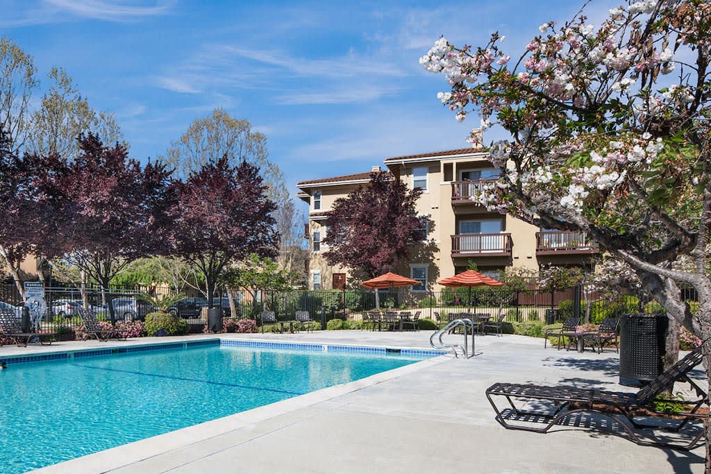 San Ramon, CA Apartments for Rent Cornerstone Apartments