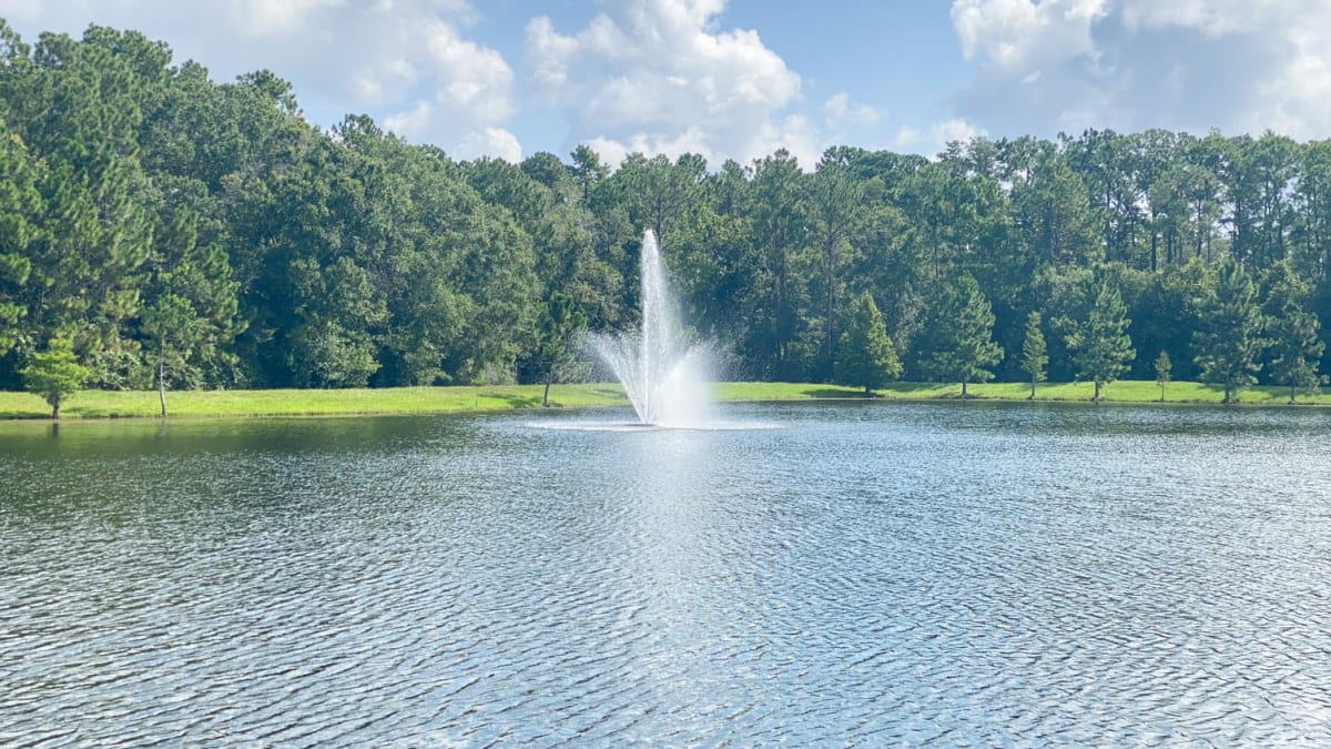 Photos and Video of Buena Vista Place Apartments in Windemere, FL