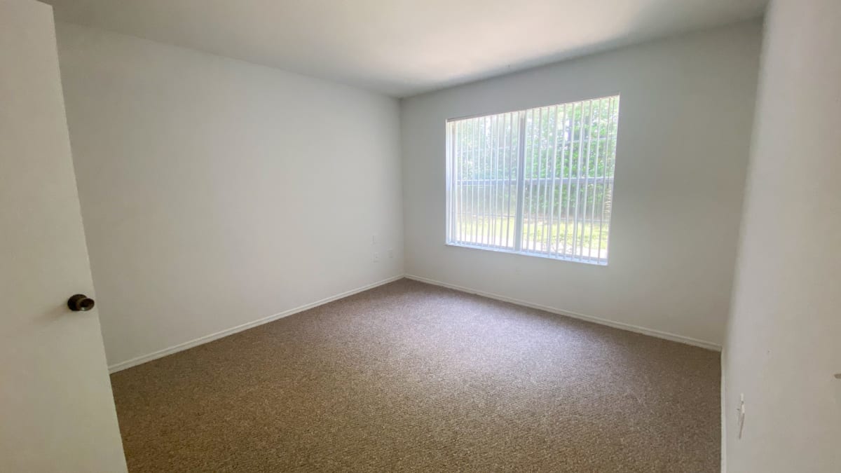 Photos and Video of Spring Harbor Apartments in Mt Dora, FL