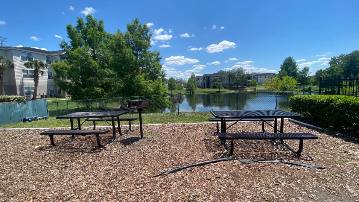 Photos and Video of Pointe Vista Apartments in Orlando, FL