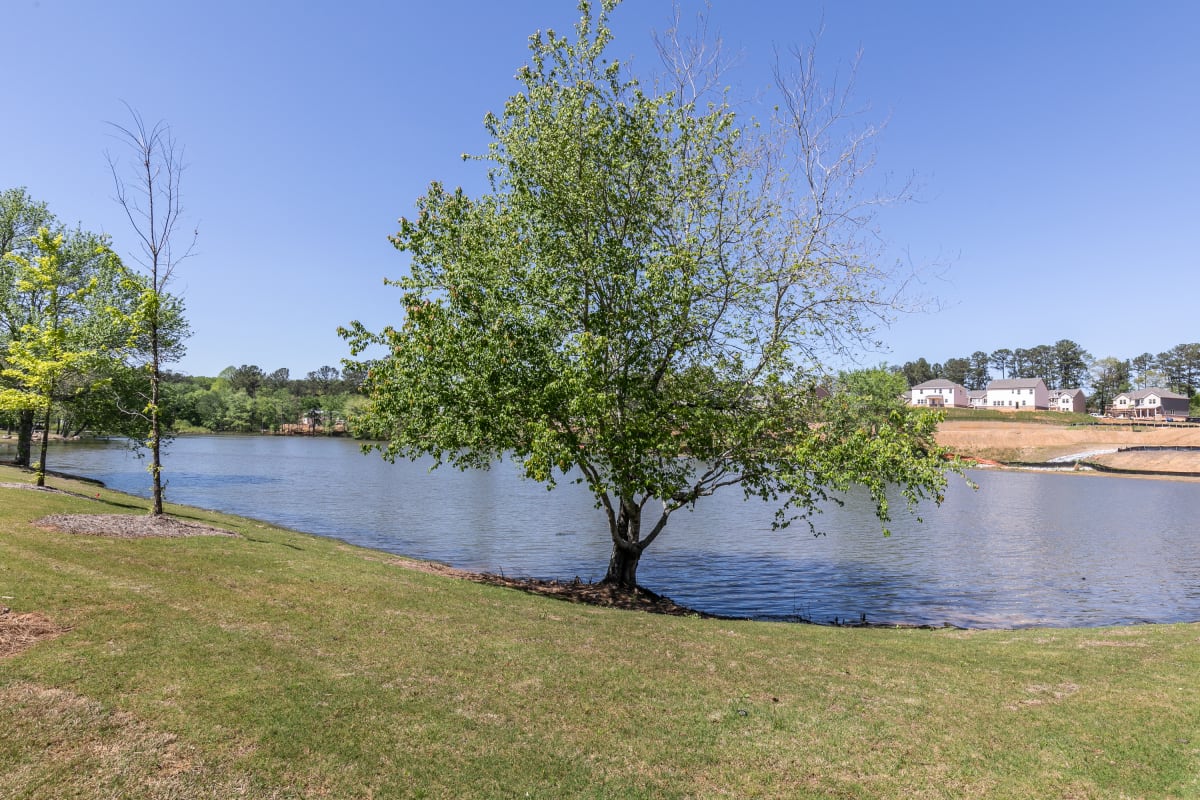 Houses for Rent in Grayson High School District Overlook at Kennerly Lake