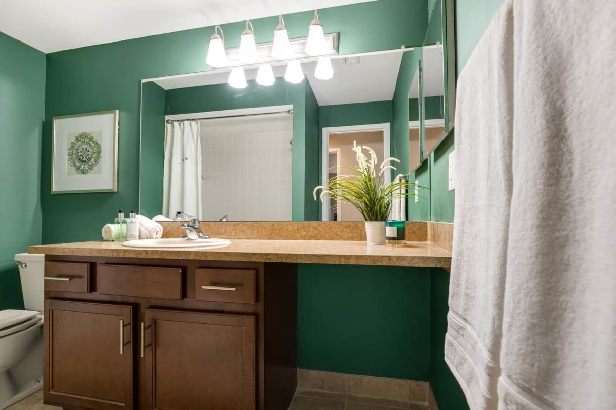 Apartments for Rent in West Bloomfield Amberly