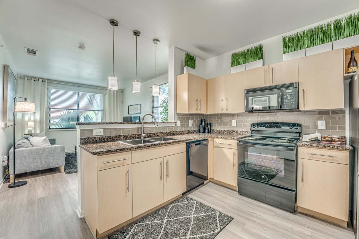 Vue Live Oak apartment photo