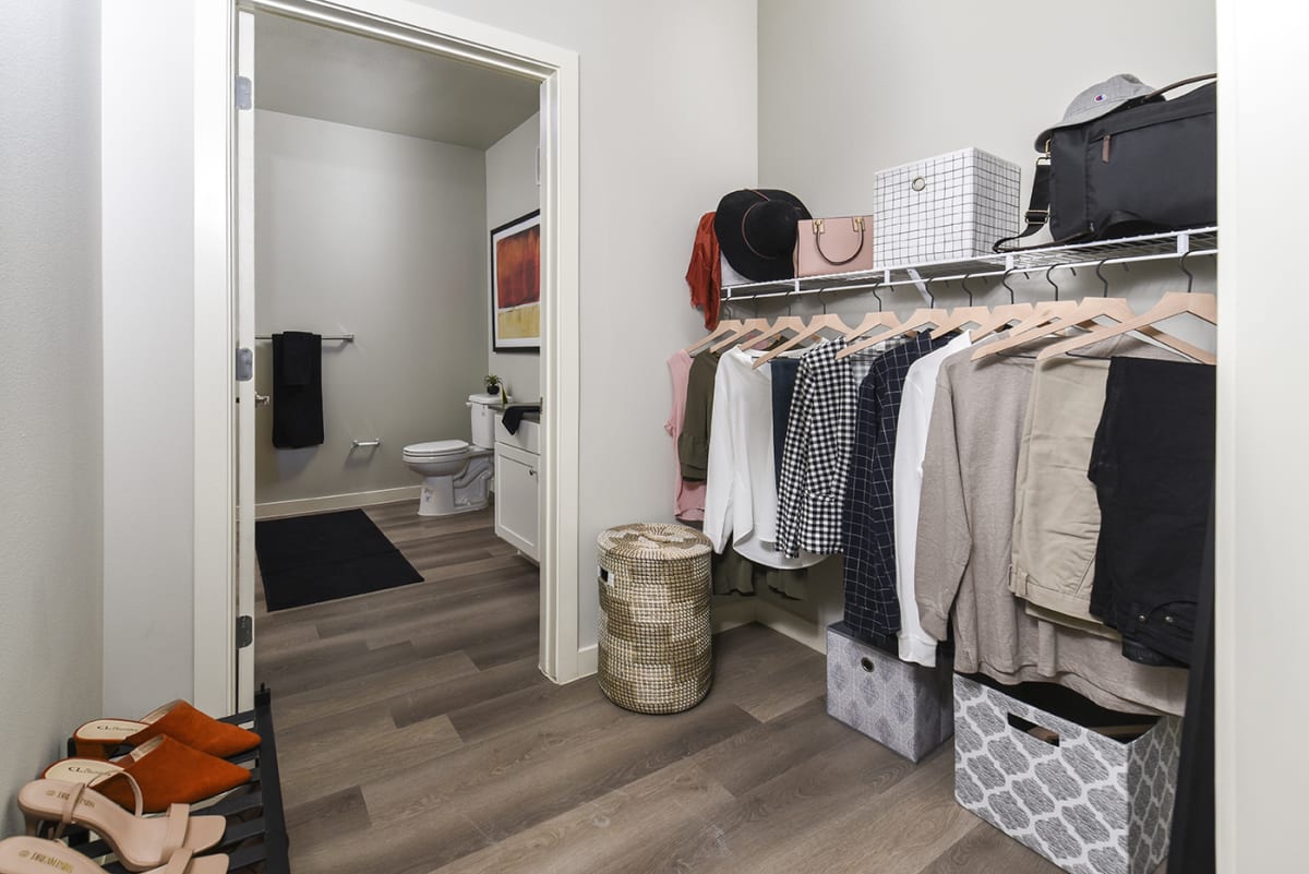 Photos and Video of The Scott at Medio Creek in San Antonio, TX