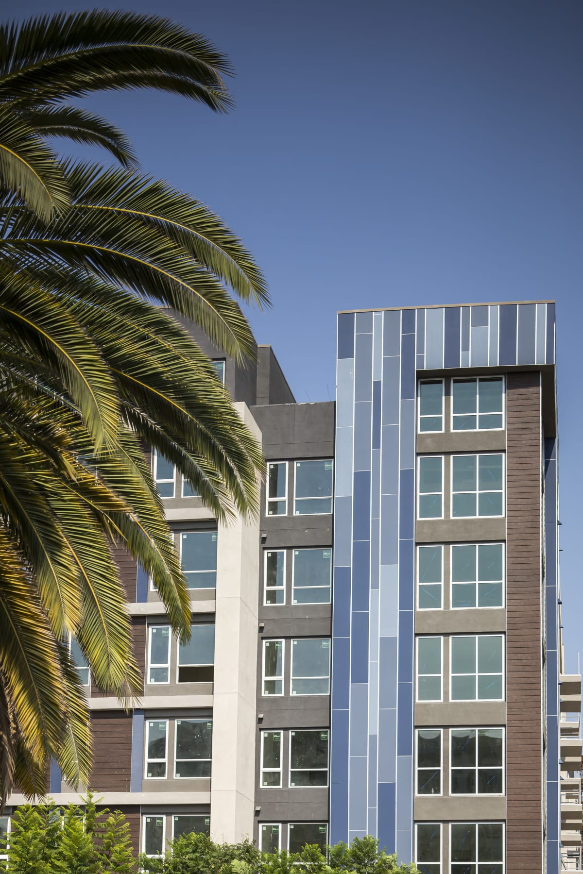 Apartments for Rent in Playa Vista The Q Playa Photos