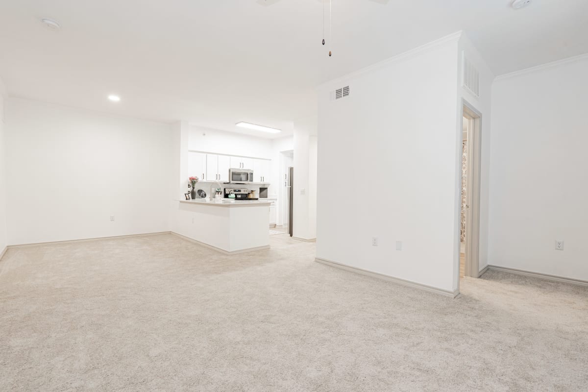 The Abram apartment photo