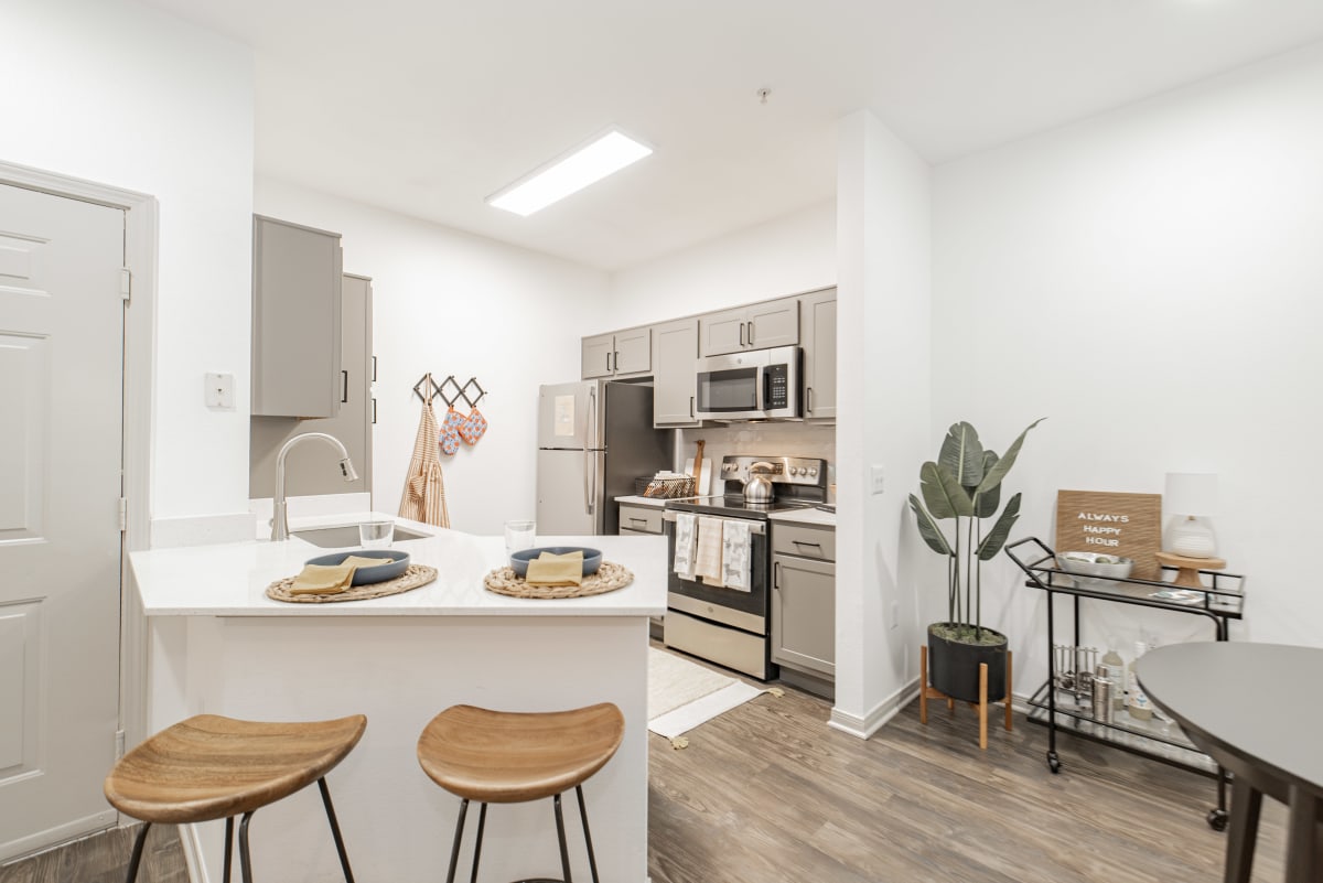 The Abbott apartment photo