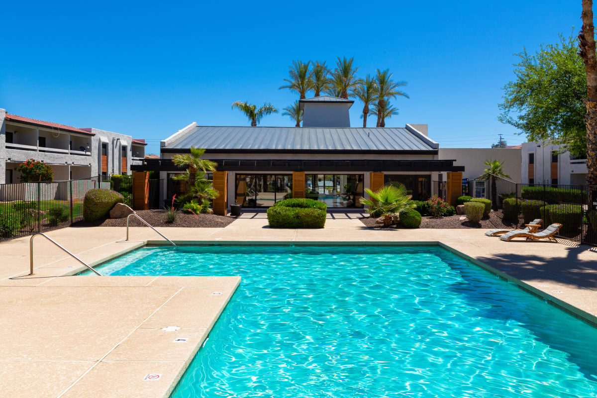 Pool and poolside area at Elara at Paradise Valley.