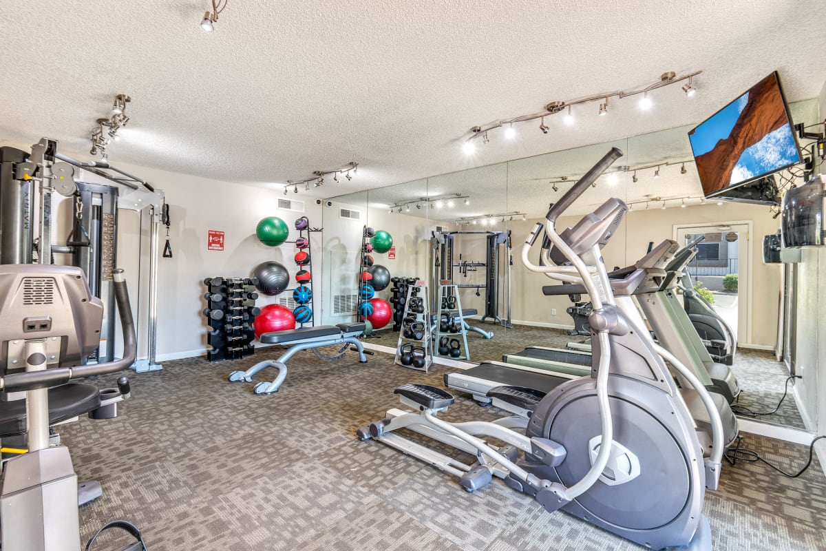 Fitness room at The Selene.
