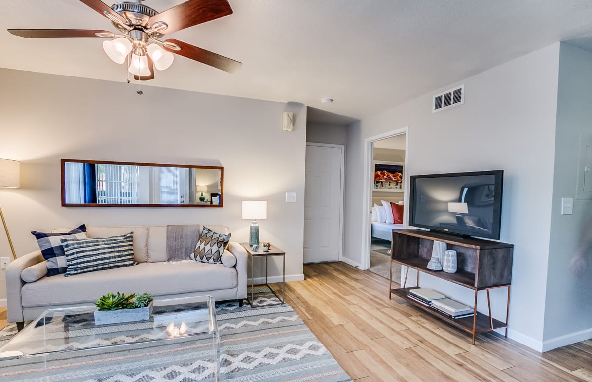 Photos and Video of Arcadia Cove in Phoenix, AZ