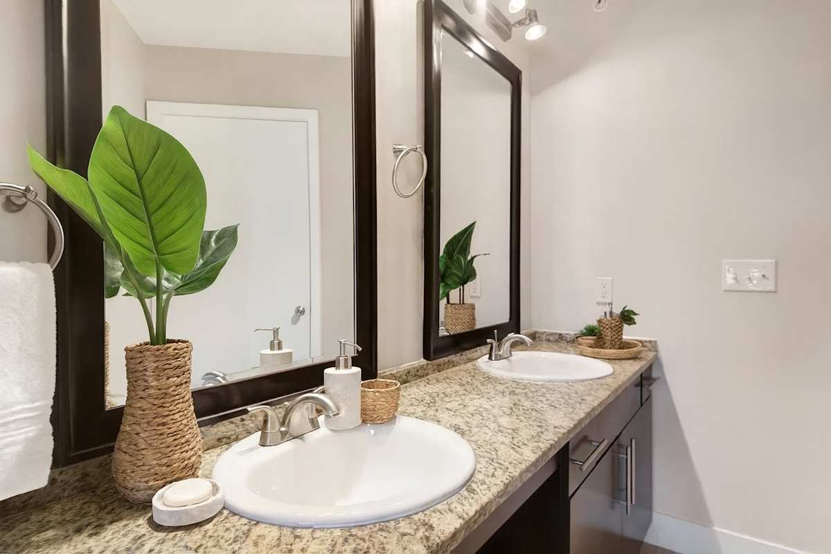 4123 Cedar Springs apartment photo