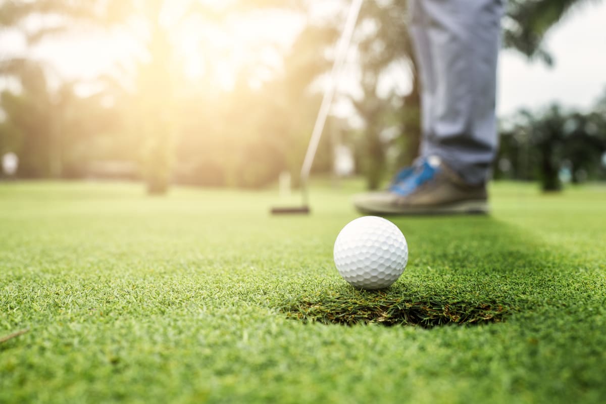 Photos Pet Friendly Apartments in Kissimmee FL