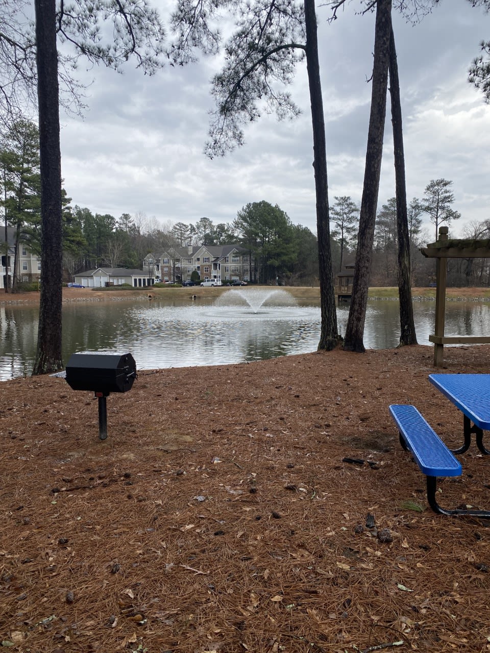 Brentwood Downs Photos Apartments Near Tech