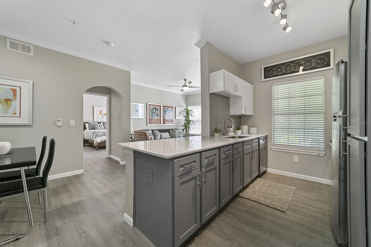 Chimney Hill apartment photo