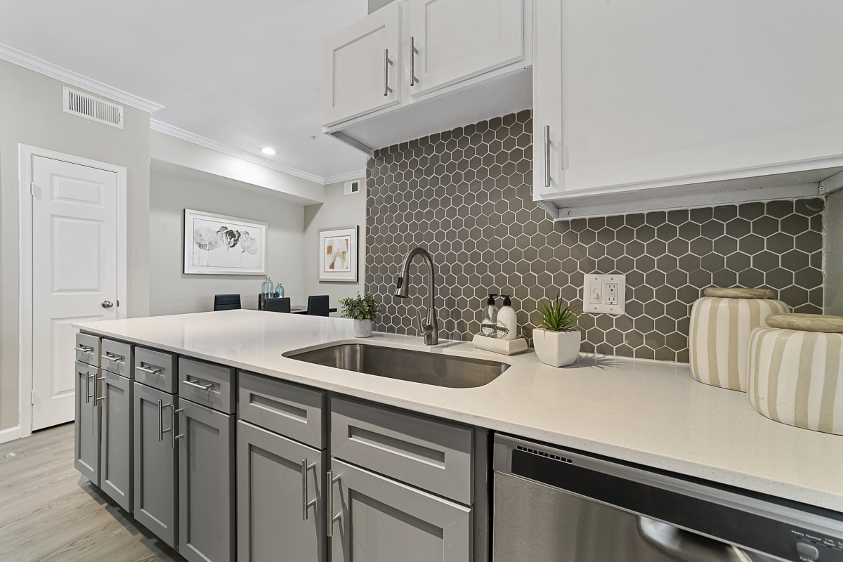 Chimney Hill apartment photo