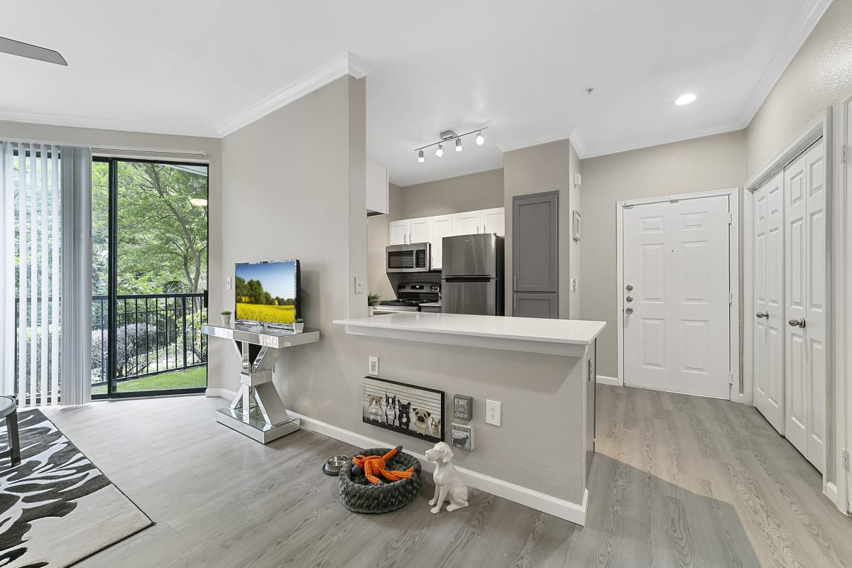 Chimney Hill apartment photo