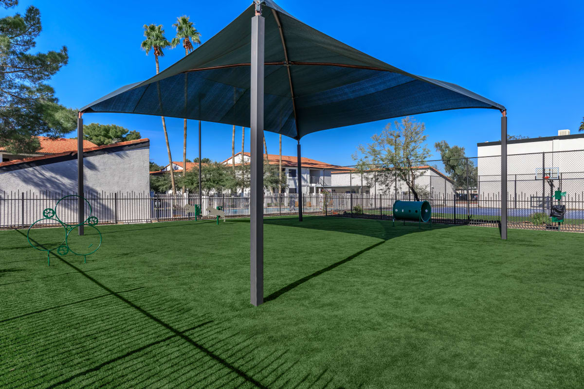 Shared outdoor space at Ember at North Phoenix.