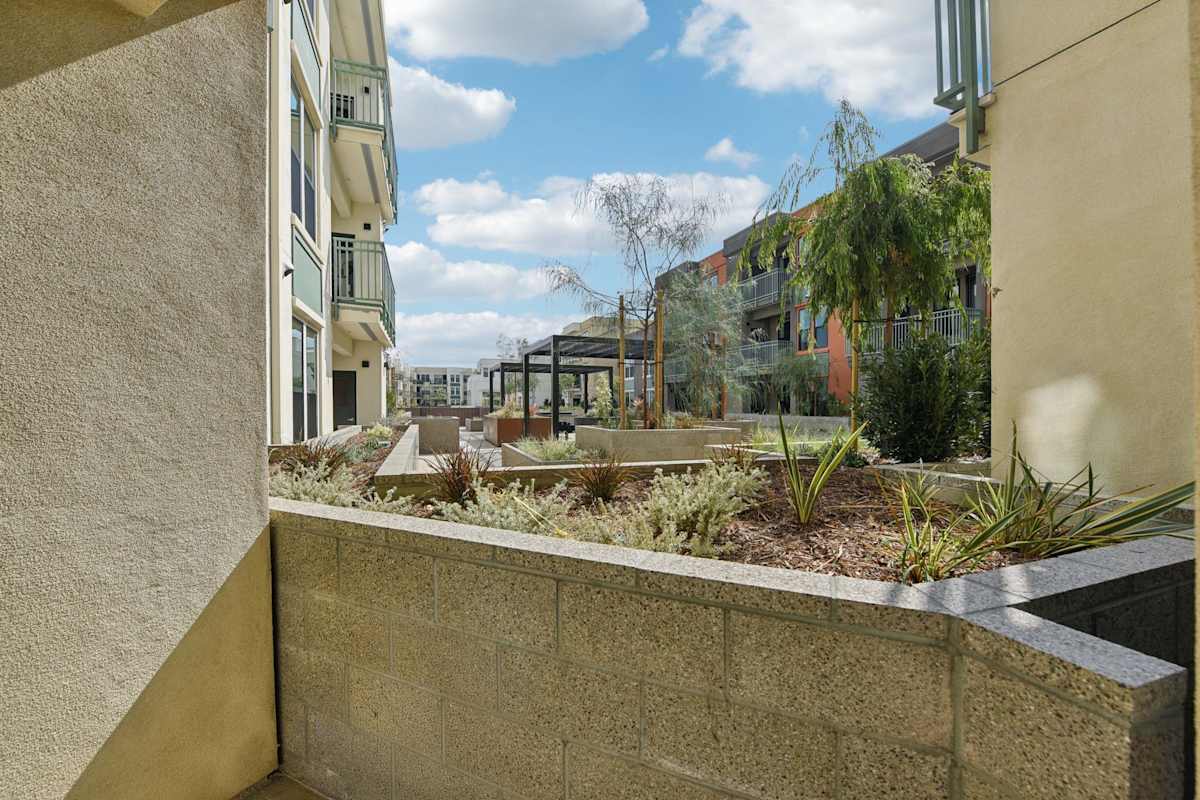 Cypress View (Jordan Downs Phase IIIB) — community photograph.