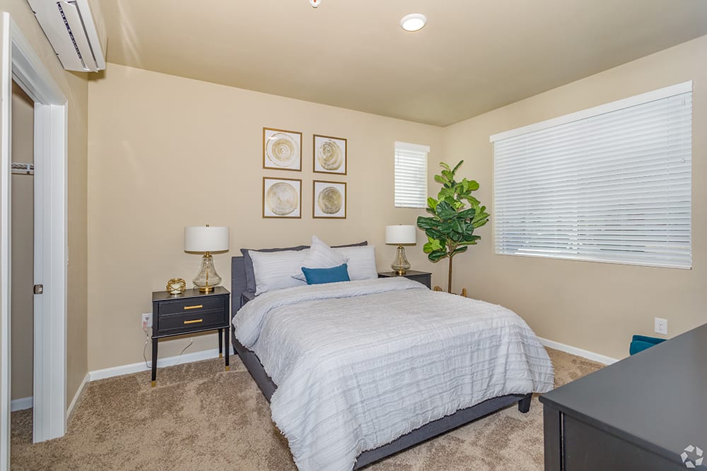 Photos and Video of Springview by Vintage in Reno, NV