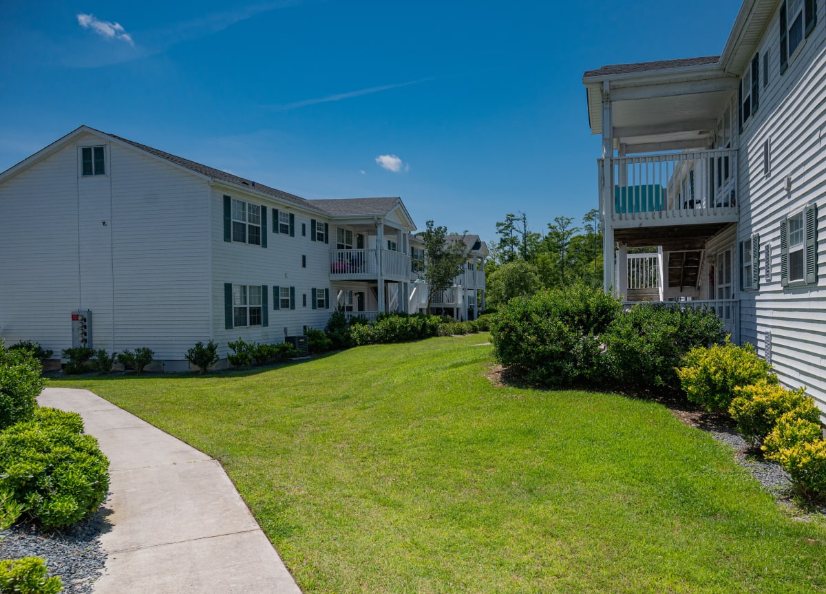 Photos and Video of Deerbrook Apartments in Wilmington, NC