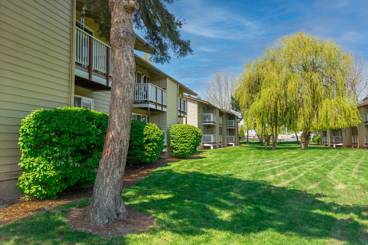 Photos and Video of Cobble Court in Pacific, WA