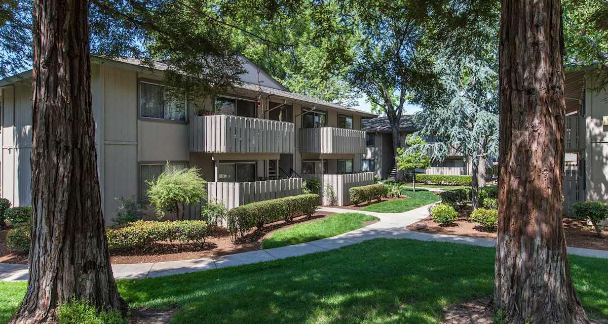 Curated visual reference: Visual Reference: San Jose Apartments For Rent