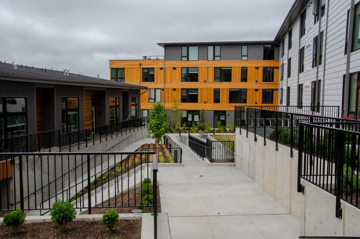 Photos and Video of BLIS in Bainbridge Island, WA