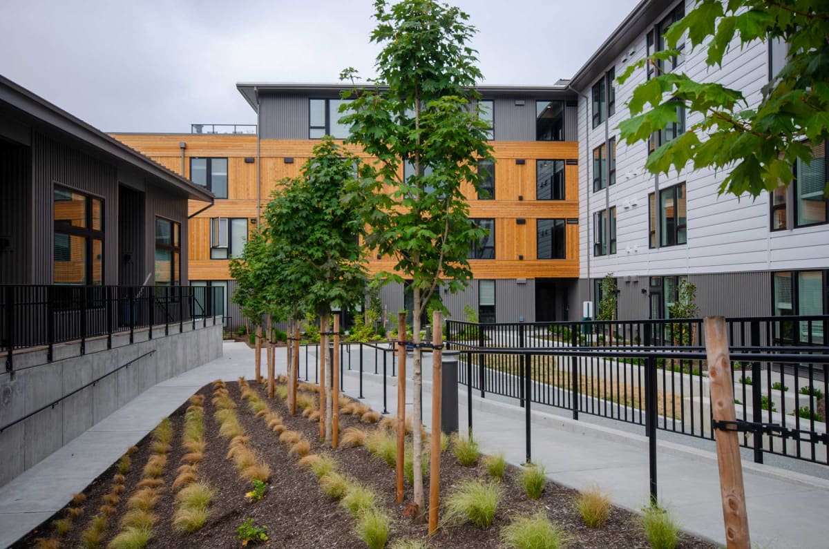 Photos and Video of BLIS in Bainbridge Island, WA