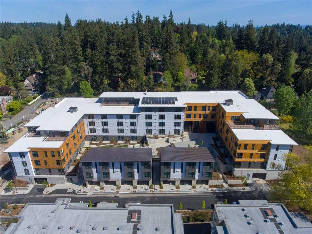 Photos and Video of BLIS in Bainbridge Island, WA