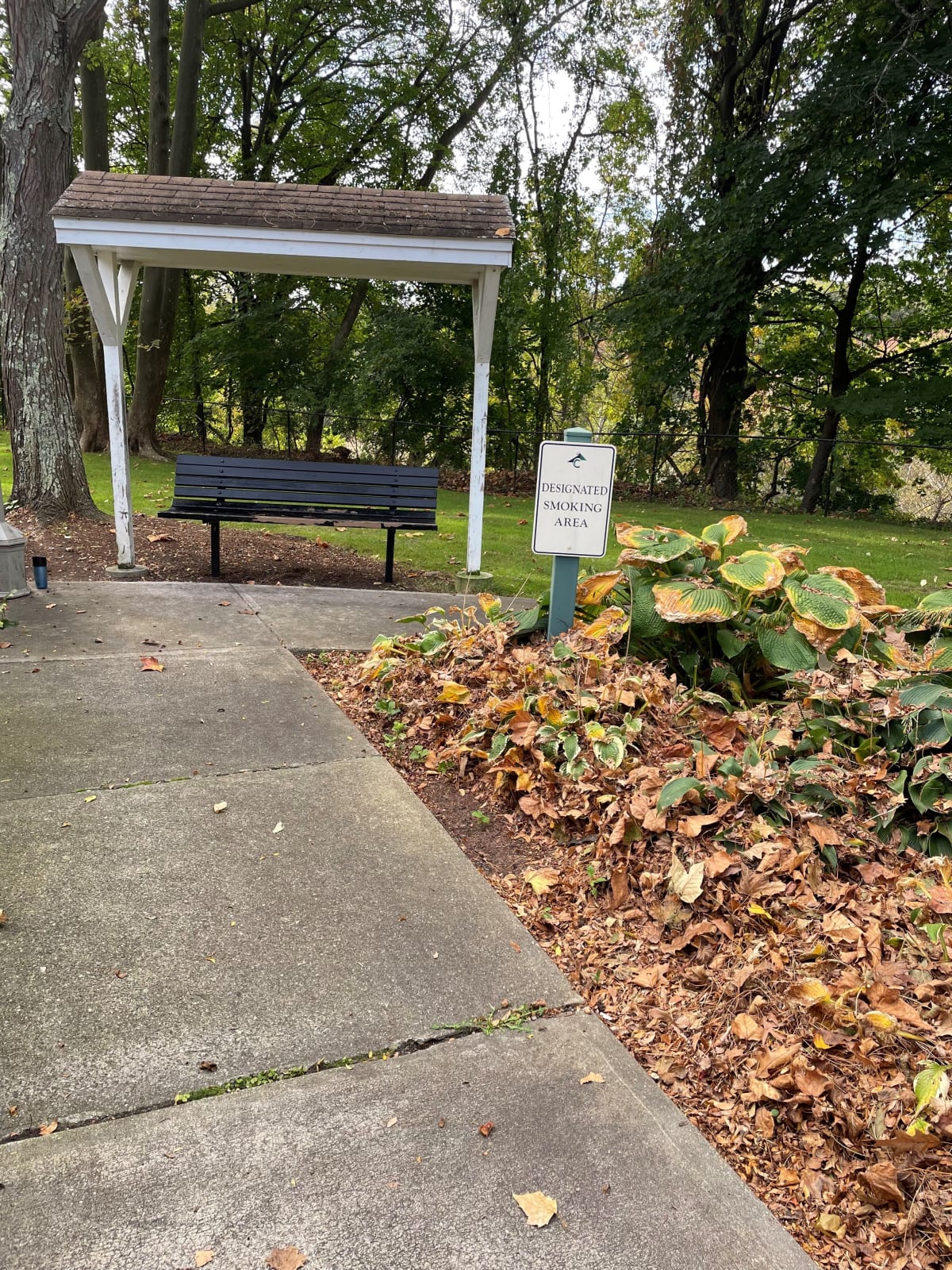 Photos and Video of Andover Commons in Andover, MA