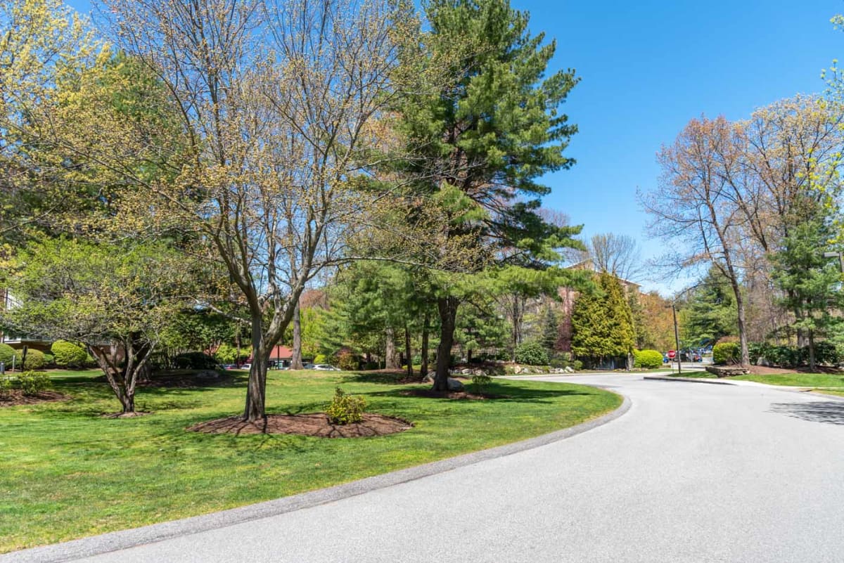 Photos and Video of Kimball Court in Woburn MA