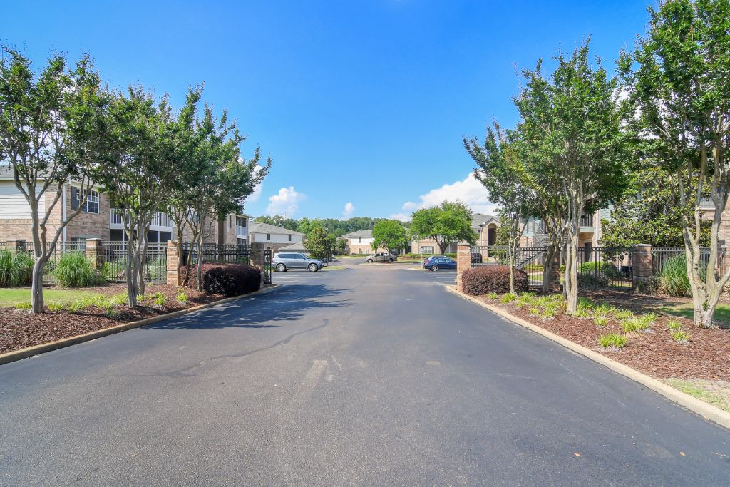 Apartments for Rent Flowood, MS Ashford Place Apartment Homes