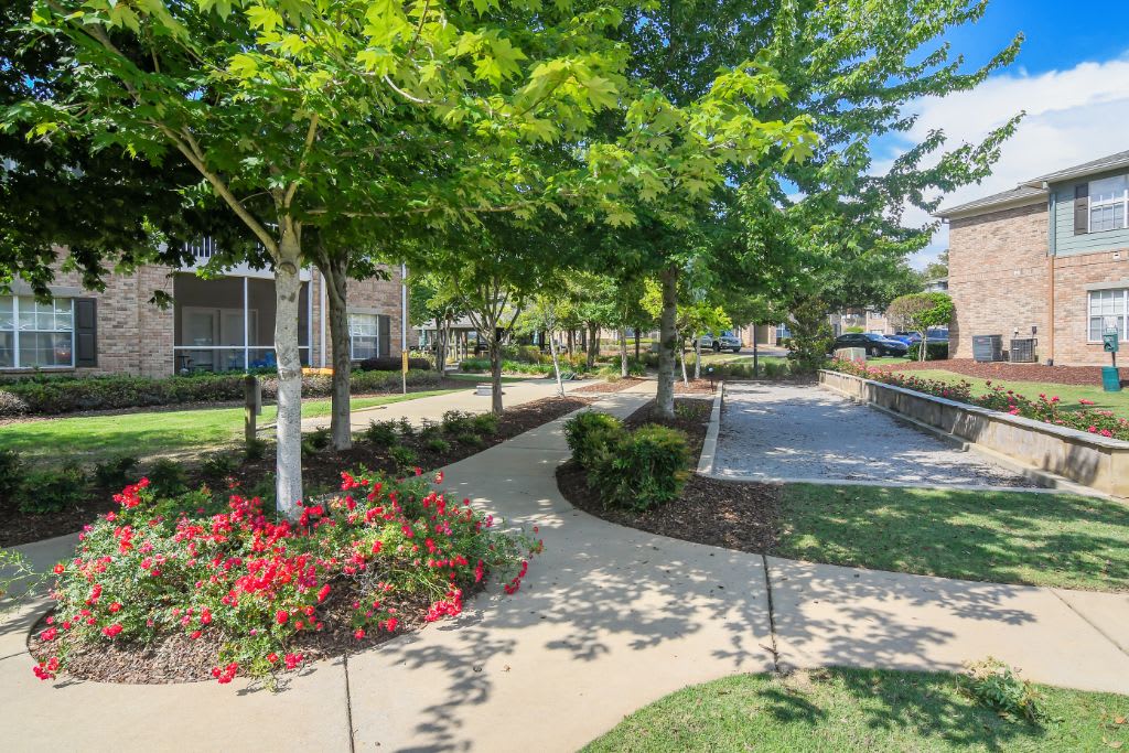 Apartments for Rent Flowood, MS Ashford Place Apartment Homes