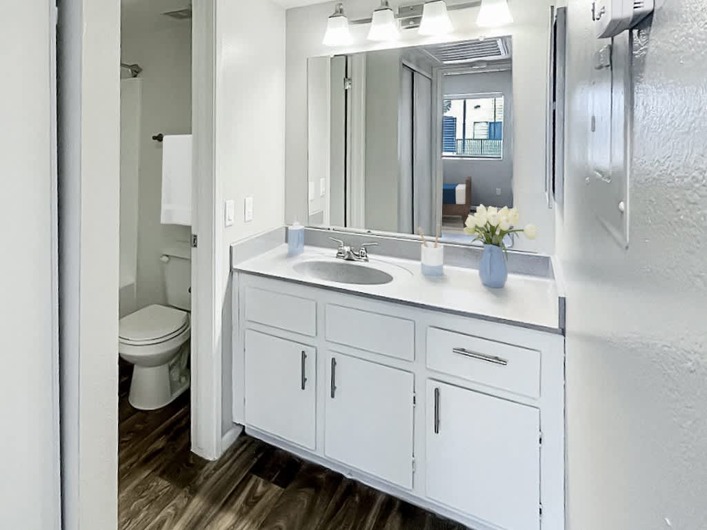 Staged example: apartment bathroom at The Valencia.