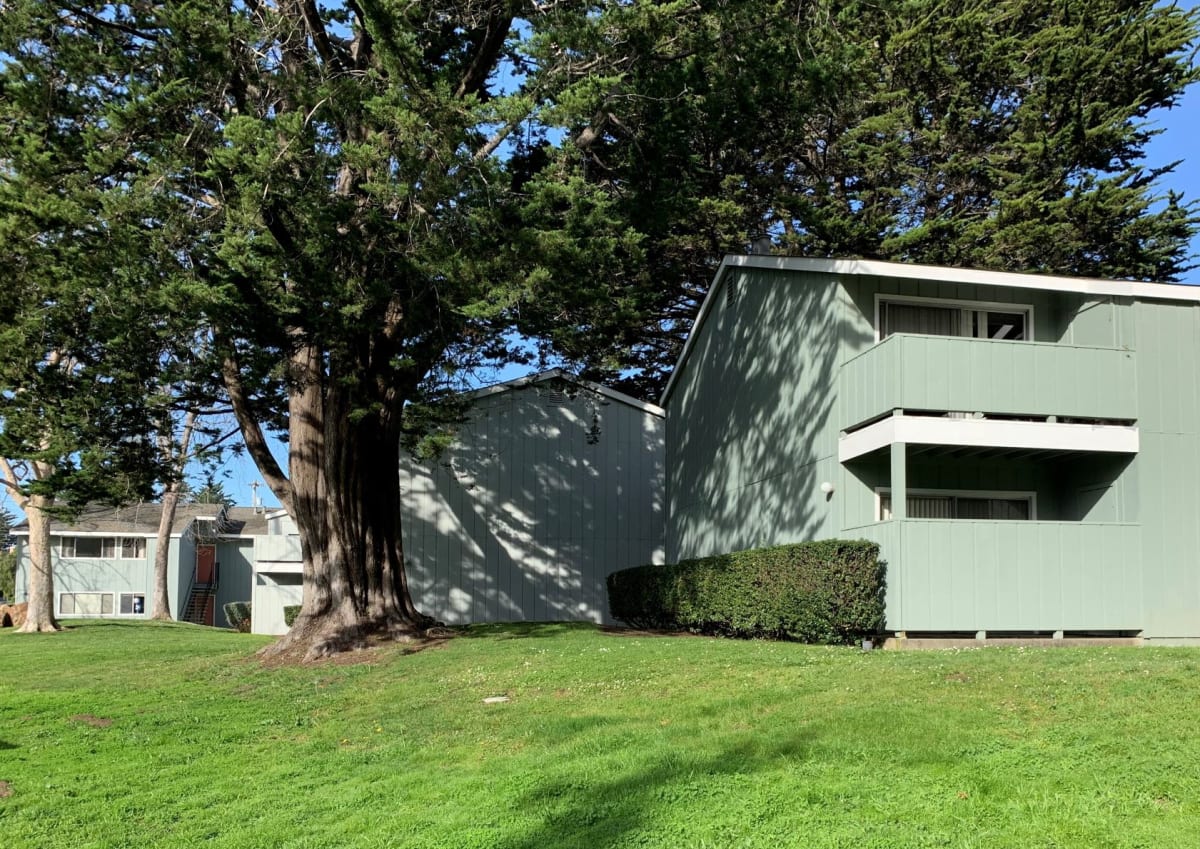 Photos and Video of Shearwater Apartments in Santa Cruz, CA