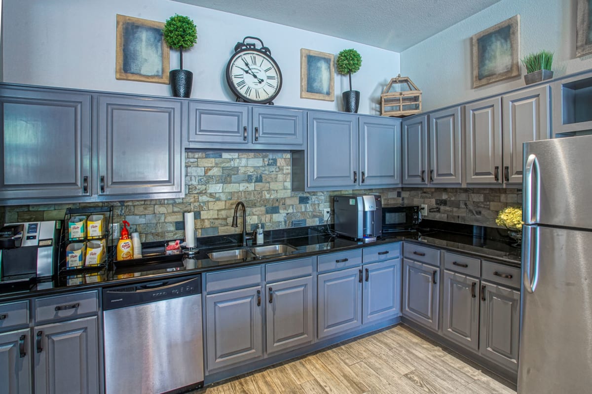 The Aster Sugar Land stainless steel kitchen appliances - Sugar Land, TX