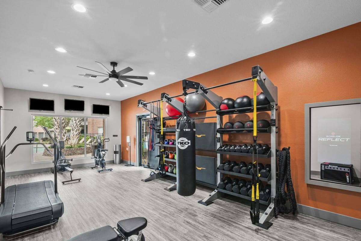 The Aster Sugar Land fitness center with gym equipment - Sugar Land, TX