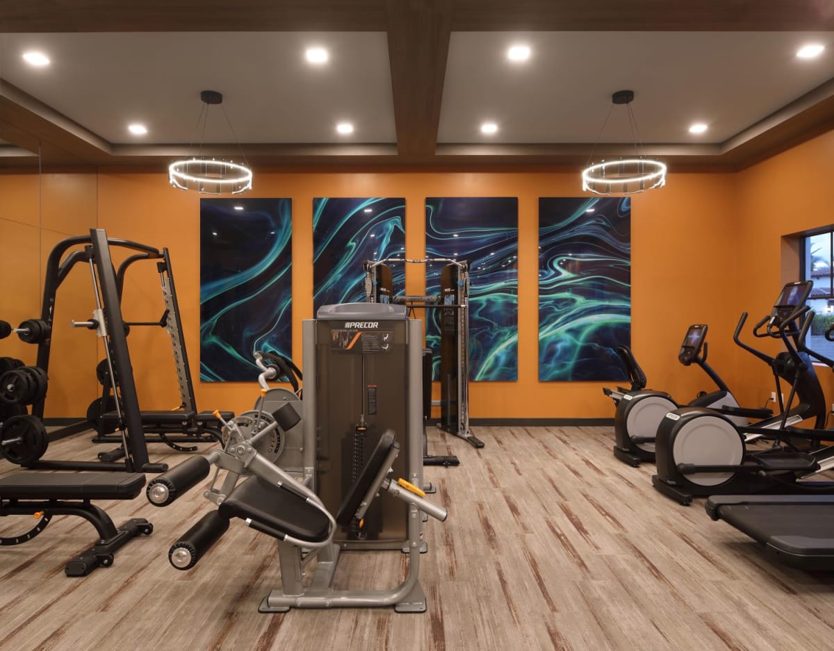 Azola West Palm Beach gym equipment - West Palm Beach, FL
