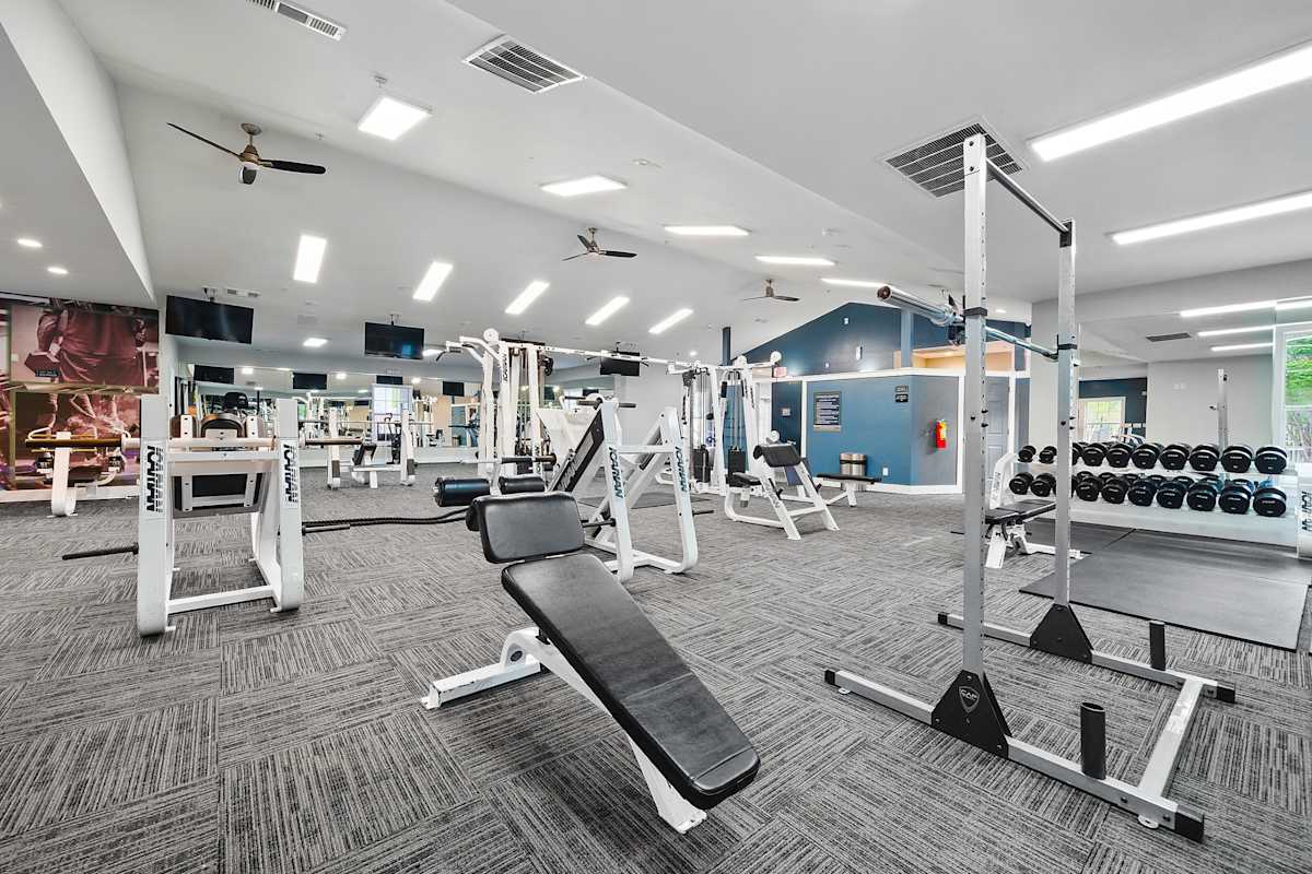 Creekside at White Oak fitness center weight equipment - Newnan, GA