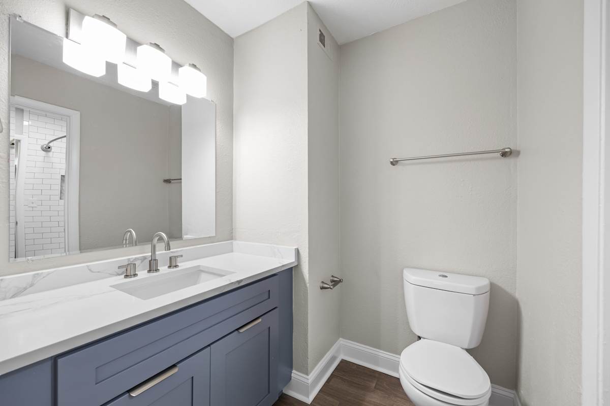 Dunwoody Glen bathroom with blue vanity cabinetry - Atlanta, GA