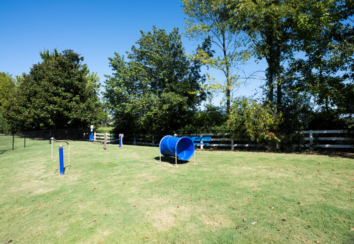 Legacy Farm bark park with agility equipment - Collierville, TN