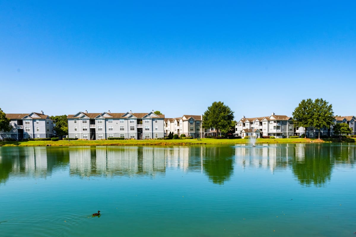 Legacy Farm lake view - Collierville, TN