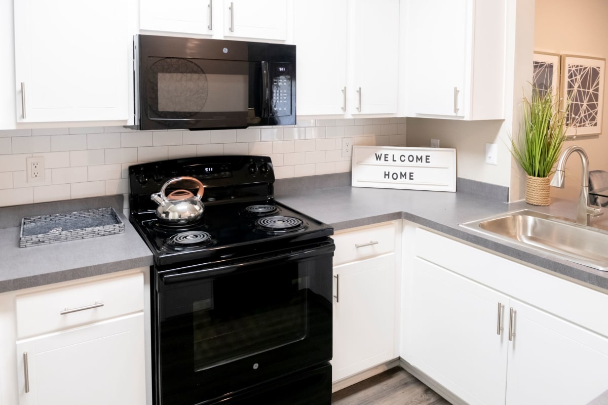 One Rocky Ridge kitchen with black appliances - Douglasville, GA