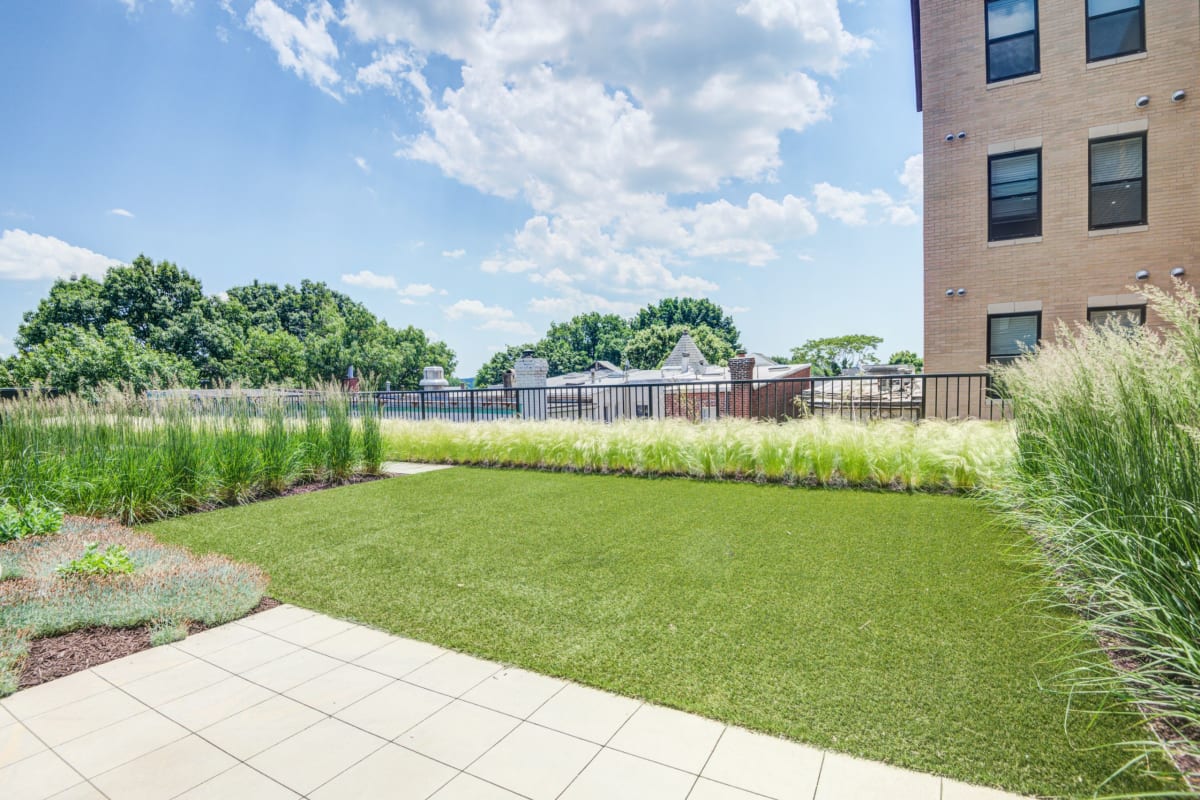 Beckert's Park rooftop terrace view - Washington, DC