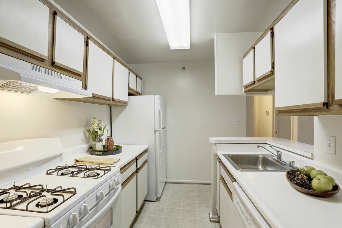 Silverwood Farm apartment kitchen with gas range - Prince Frederick, MD