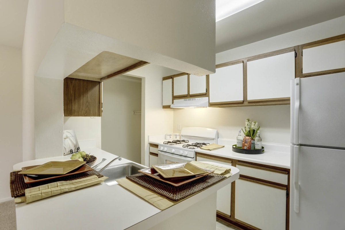 Silverwood Farm spacious apartment kitchen - Prince Frederick, MD